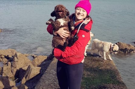 Dog walker holding and minding a happy dog at the sea with a large retriever by the beach while on group dog walk