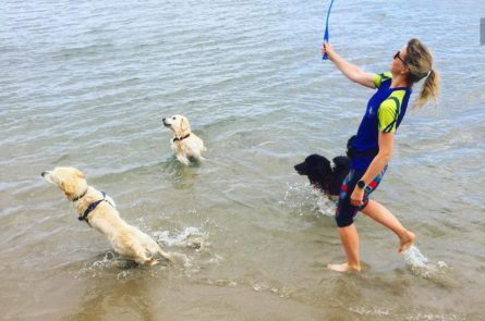 Summer dog walking at the beach with Dog walker Georgina and dogs running for the ball while in the sea in Blackrock, Dublin