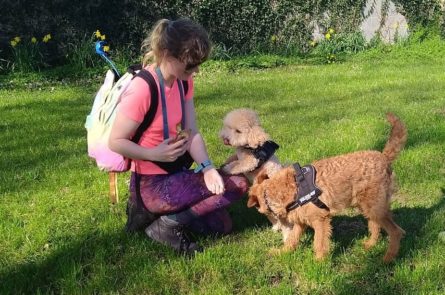 Georgina the Dog Walker in Park in Blackrock with dogs