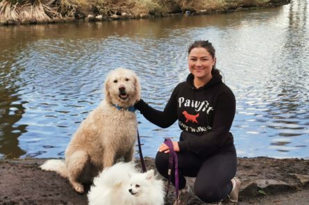 Emma the dog walker out on dog walk with labradoodle Russell and pomeranian Amil by the dart train in Blackrock park in dublin