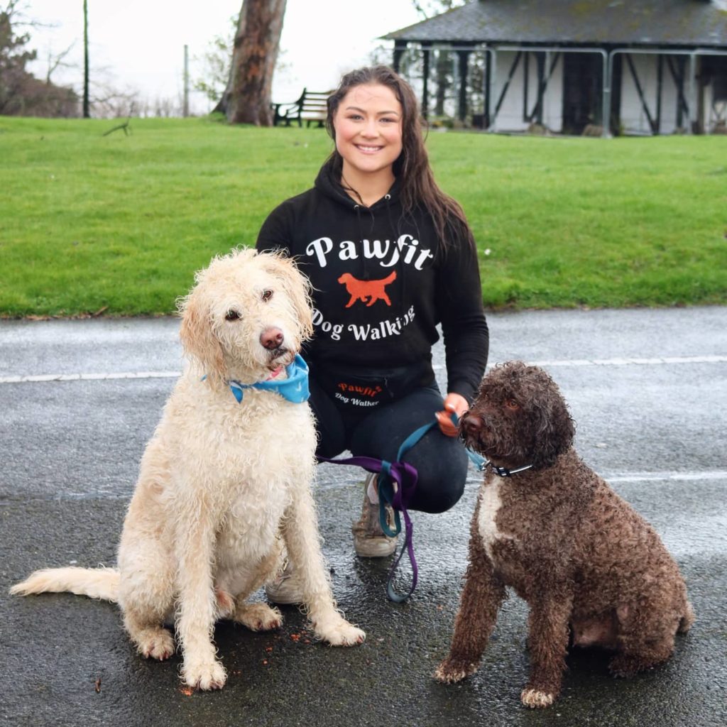 Emma the dog walker on dog walk with large labradoodle dog Russell and Lagotto romagnolo dog sitting in Blackrock park