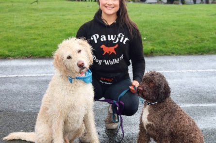 Emma the dog walker on dog walk with large labradoodle dog Russell and Lagotto romagnolo dog sitting in Blackrock park