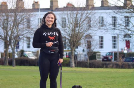 Juner the dachshund sausage dog out for dog walk in the park with dog walker emma from Pawfit pet services