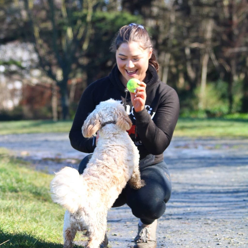 Dog walker playing ball with dog in park