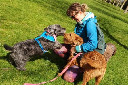 Georgina the dog walker taking puppies for playdate dog walk in park