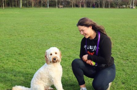 Fletch the cockapoo happy dog walk Blackrock park